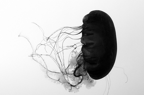 只要妳是彩色,世界黑白又如何.