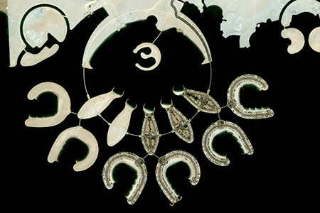 人类的造物传奇，上帝都为之惊叹